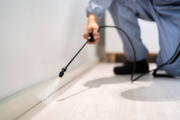 Licensed Mosquito Control service in Riverview, MI - Nex Pest Control