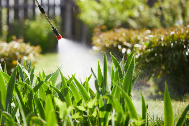 24/7 Emergency Mosquito Control experts in Riverview, MI