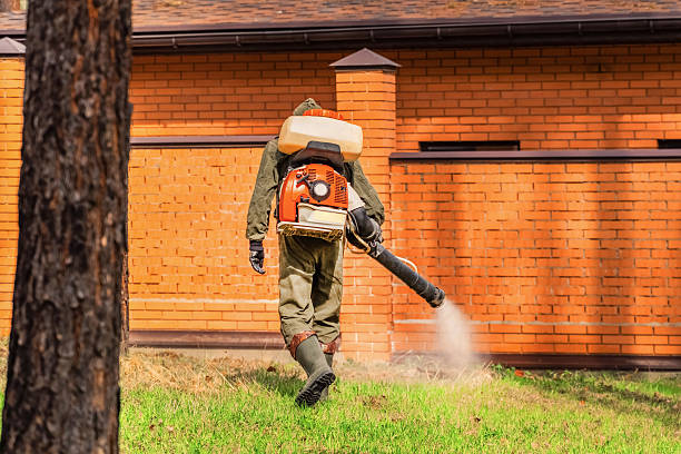 Top rated local Mosquito Control specialists in Riverview, MI